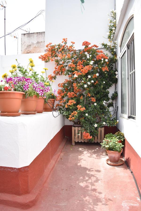 Apartamento La Discusion De Veedor 12 Cádiz Buitenkant foto